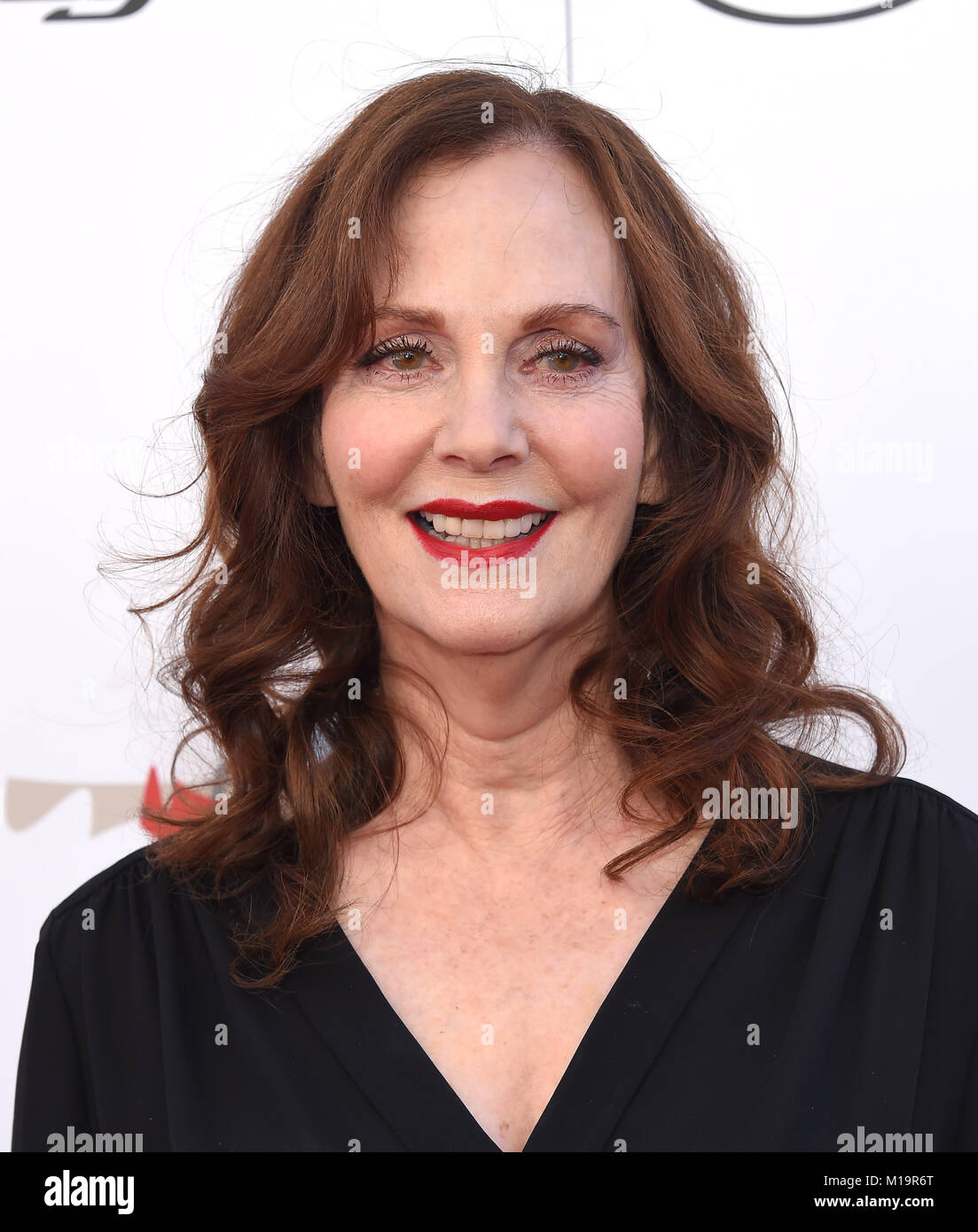 Lesley Ann Warren (Actress) Wiki, Biography, Age, Boyfriend, Family, Facts ...