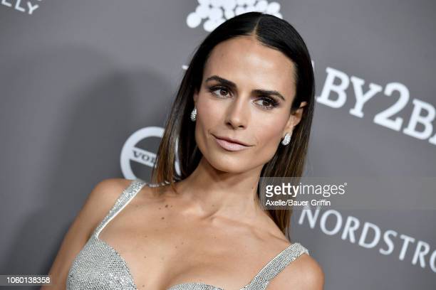 Jordana Brewster (Actress) Wiki, Biography, Age, Boyfriend, Family, Facts and More